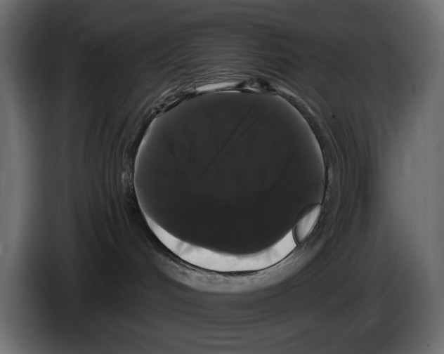 X0000084580048200703231853