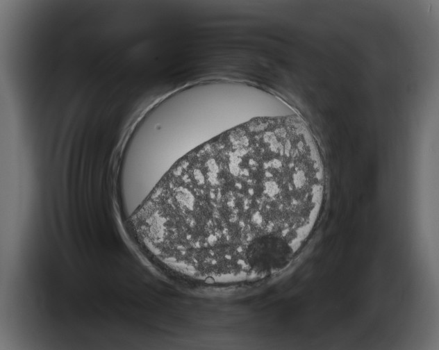 X0000084580049200703231852