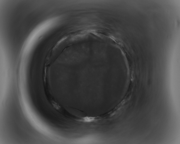 X0000084580052200703231852