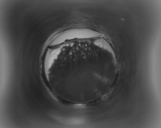 X0000084580053200703231852