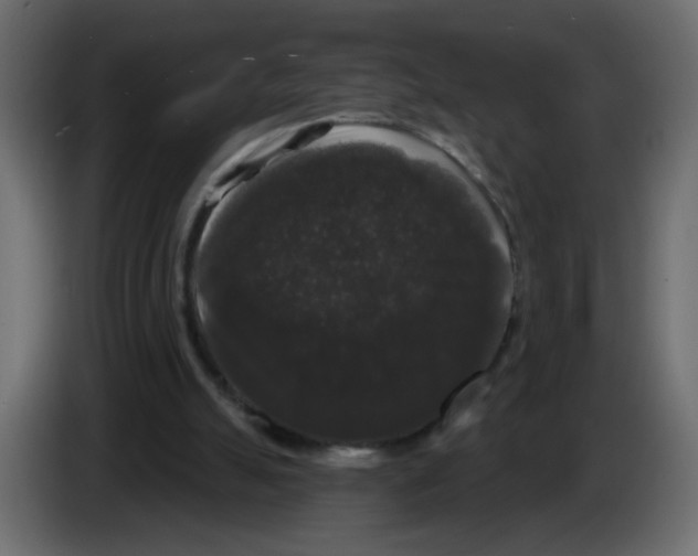 X0000084580055200703231852