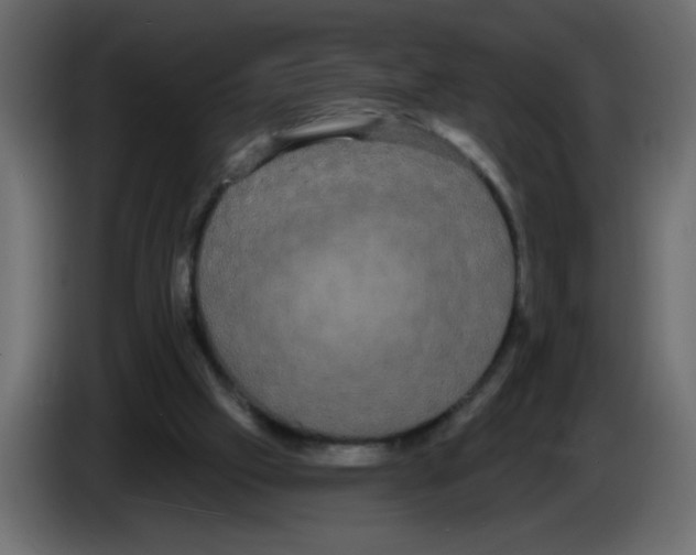 X0000084580057200703231852