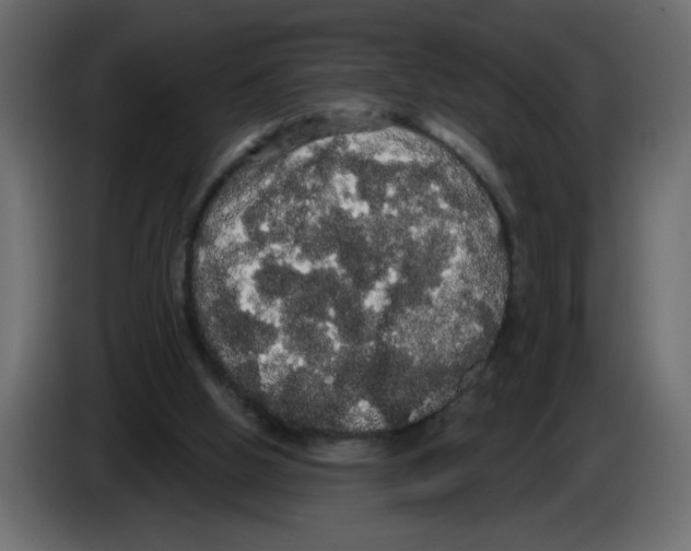 X0000084580058200703231852