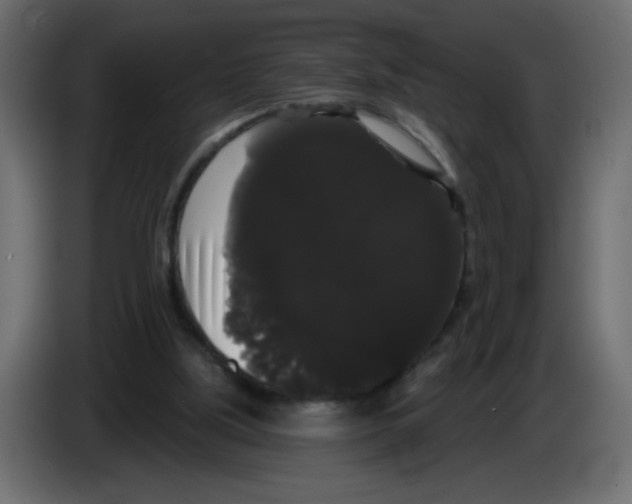 X0000084580059200703231852