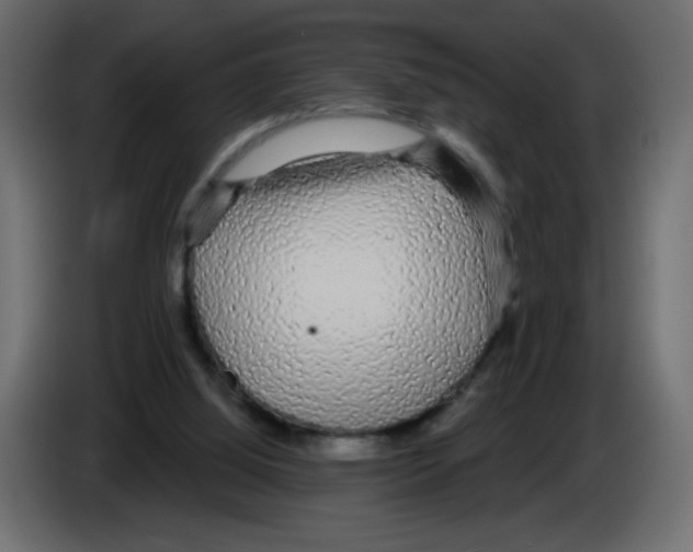 X0000084580060200703231852