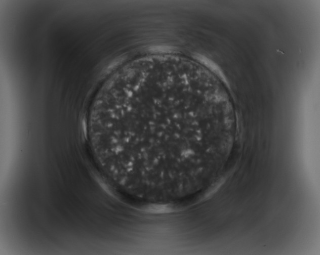 X0000084580061200703231852