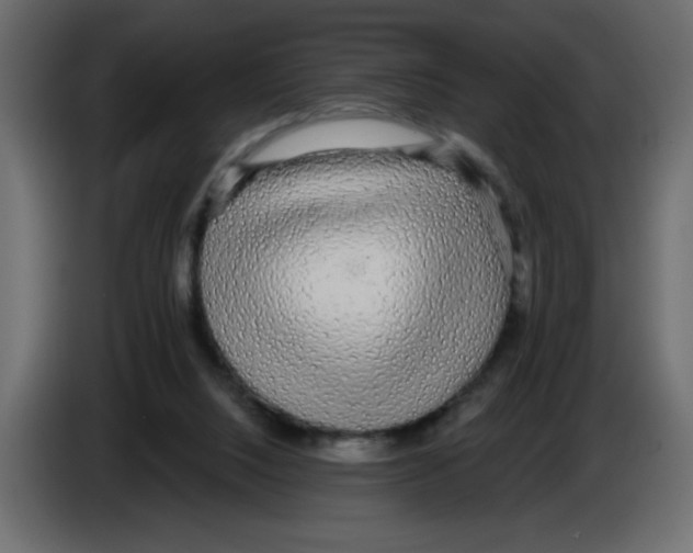X0000084580064200703231852