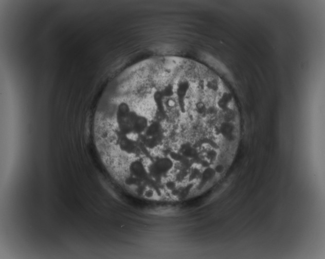 X0000084580065200703231852