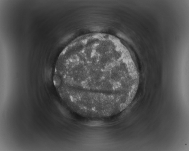 X0000084580066200703231852