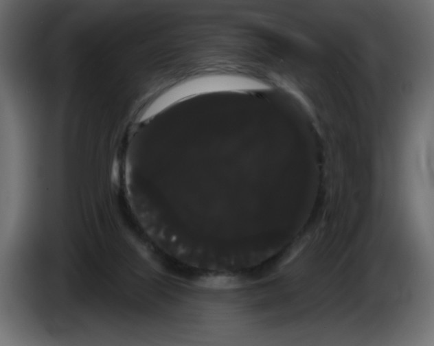 X0000084580067200703231852