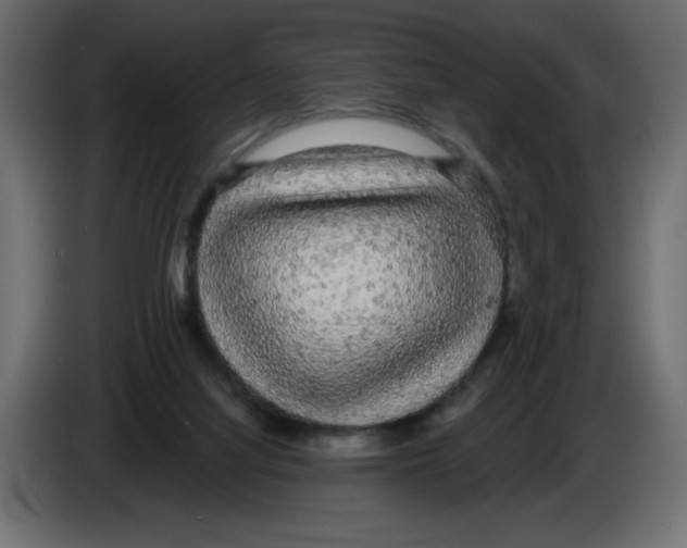 X0000084580068200703231852