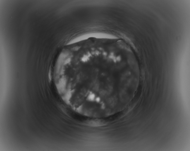 X0000084580069200703231852