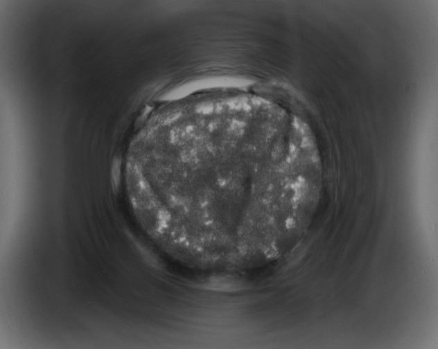 X0000084580070200703231852