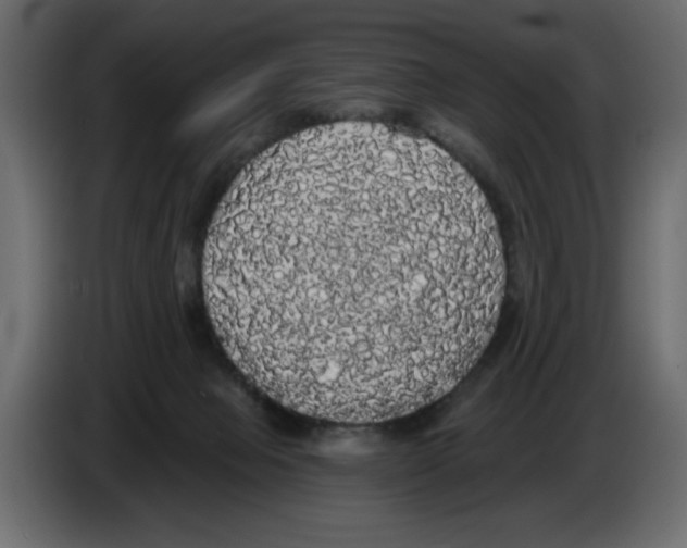 X0000084580077200703231852