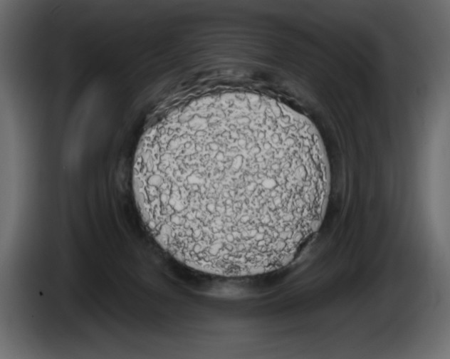 X0000084580078200703231852