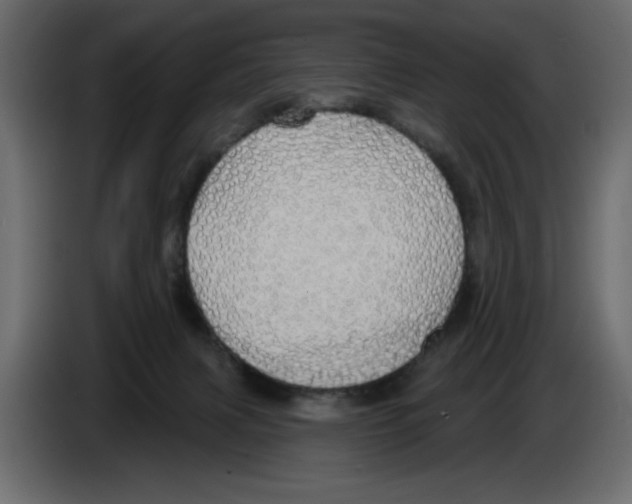 X0000084580079200703231852