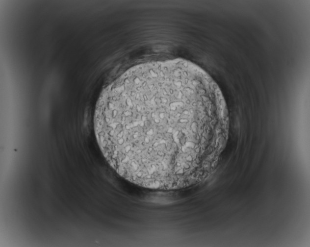 X0000084580082200703231852