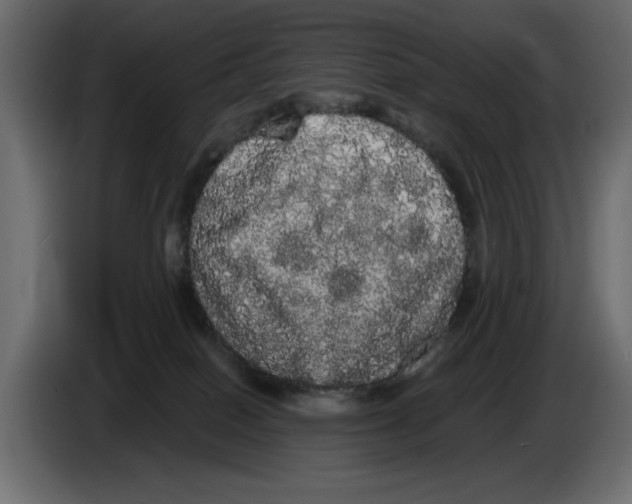 X0000084580086200703231852
