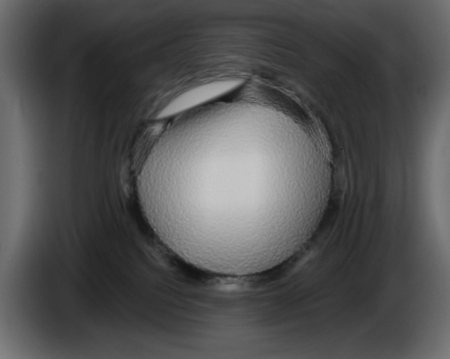 X0000084580088200703231852