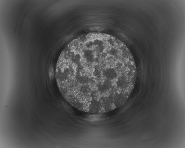 X0000084580089200703231852