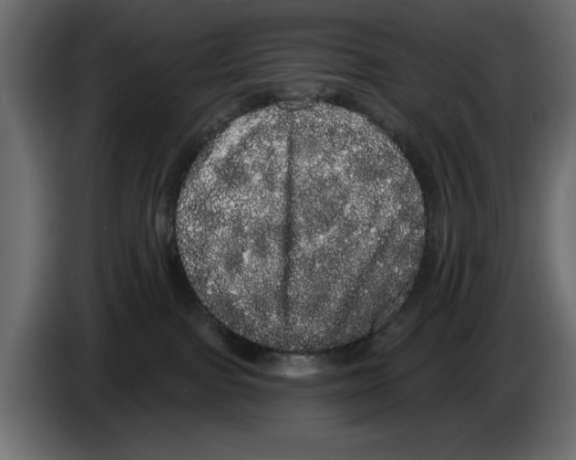 X0000084580091200703231852