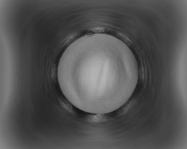 X0000084580092200703231853