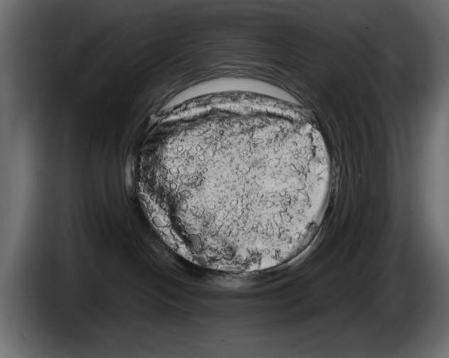 X0000084580094200703231853