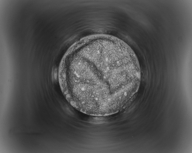 X0000084580095200703231853