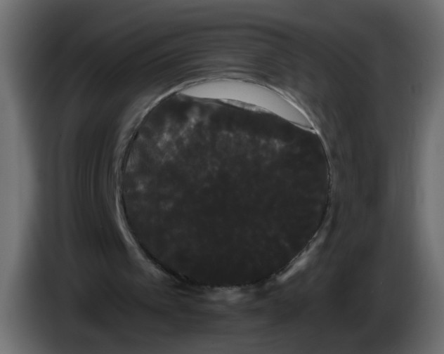 X0000084580097200703231852