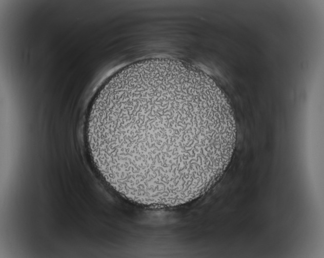 X0000084580098200703231852