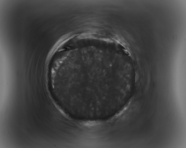 X0000084580101200703231852