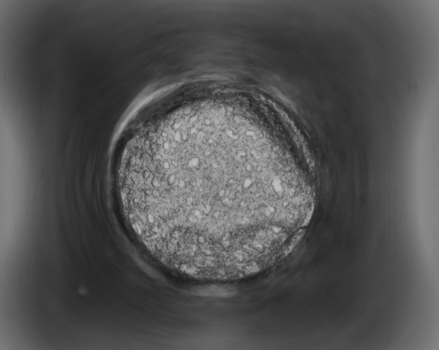X0000084580102200703231852