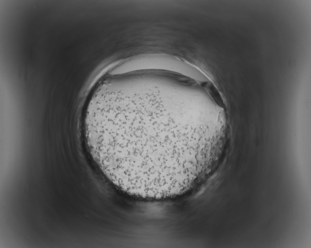 X0000084580103200703231852