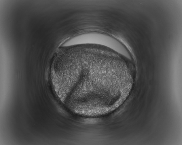 X0000084580105200703231852
