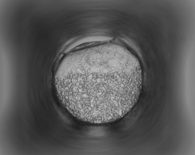 X0000084580107200703231852
