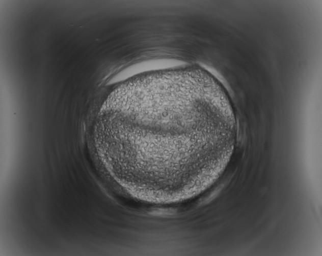 X0000084580109200703231852