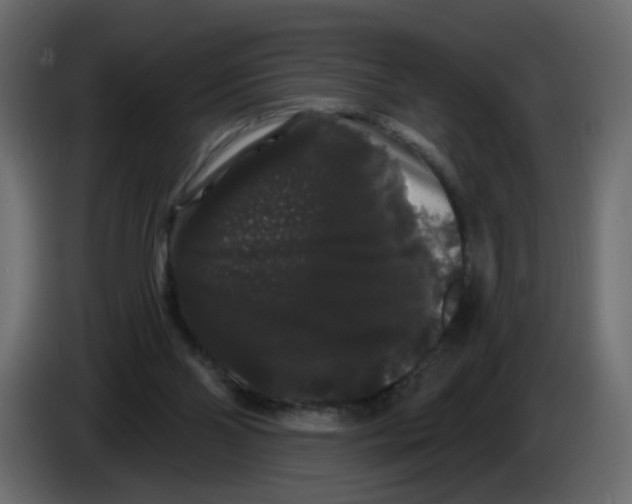 X0000084580110200703231852