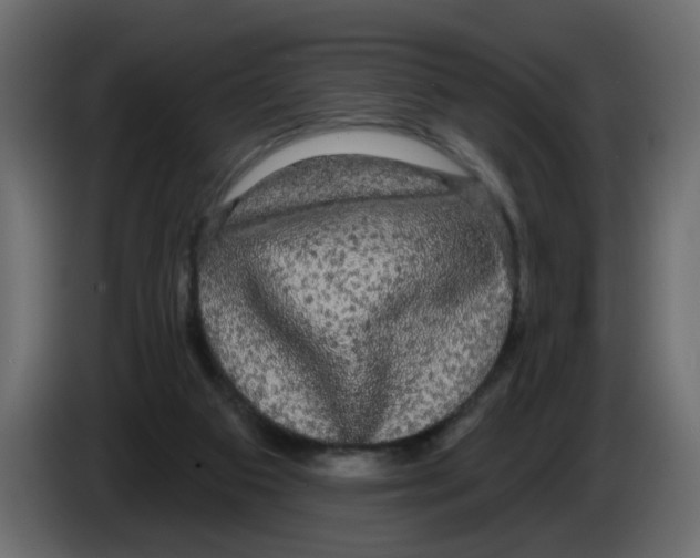 X0000084580113200703231852
