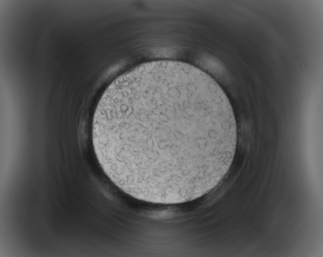 X0000084580116200703231852