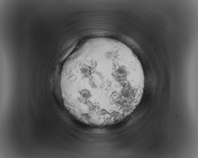 X0000084580119200703231852