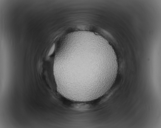 X0000084580121200703231852