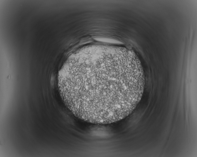 X0000084580123200703231852