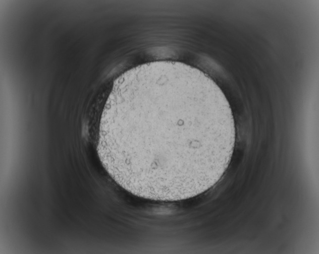 X0000084580124200703231852