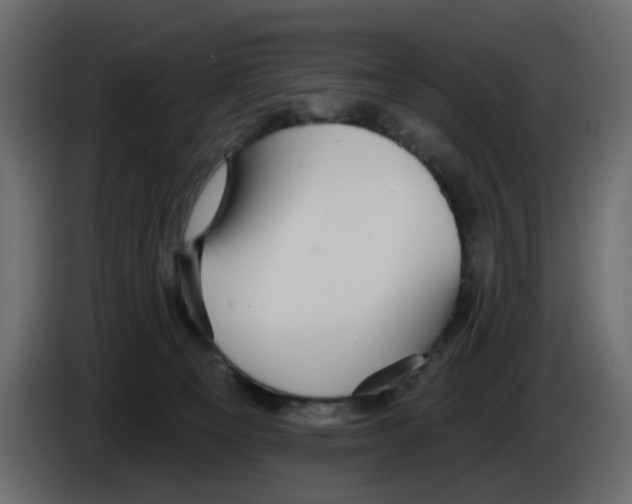 X0000084580129200703231851