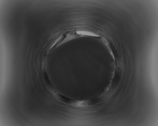 X0000084580130200703231851