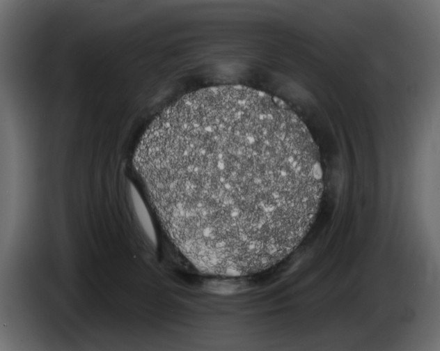 X0000084580131200703231851