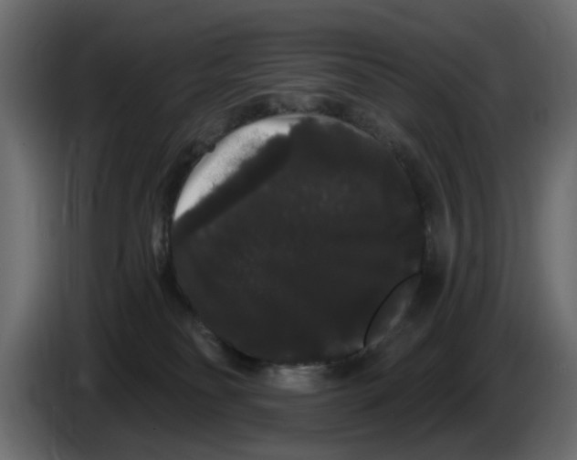 X0000084580134200703231851