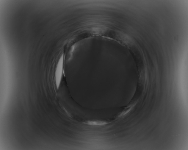 X0000084580137200703231851