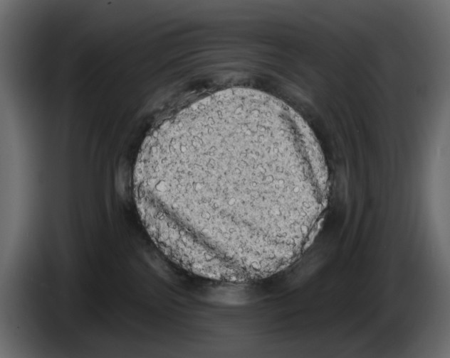 X0000084580138200703231851