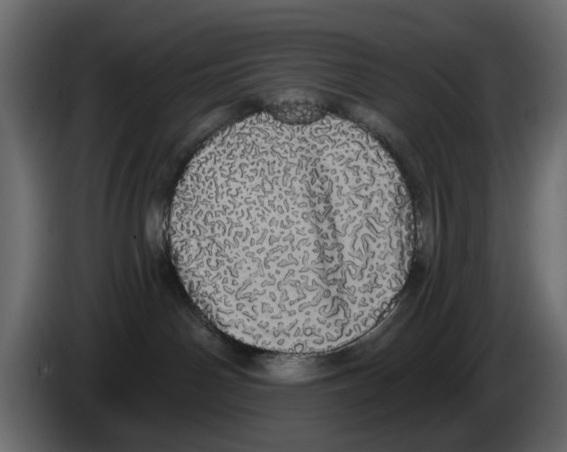 X0000084580142200703231851